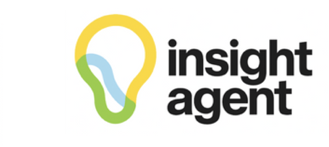 Insight Agent